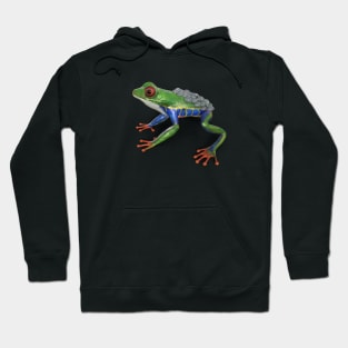 Frog/Red-Eyed Amazon Tree Frog (Agalychnis Callidryas)3d rendering Hoodie